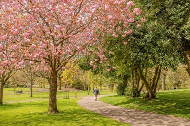 Kelvingrove Park